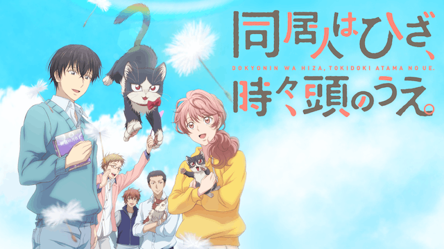 同居人はひざ、時々、頭のうえ。