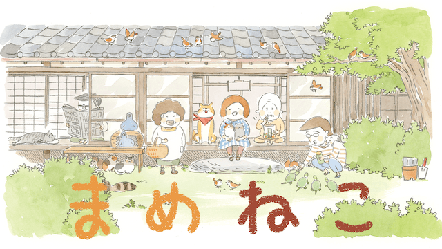 まめねこ