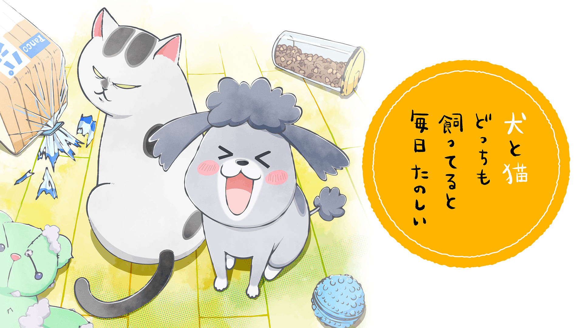 犬と猫どっちも飼ってると毎日たのしい