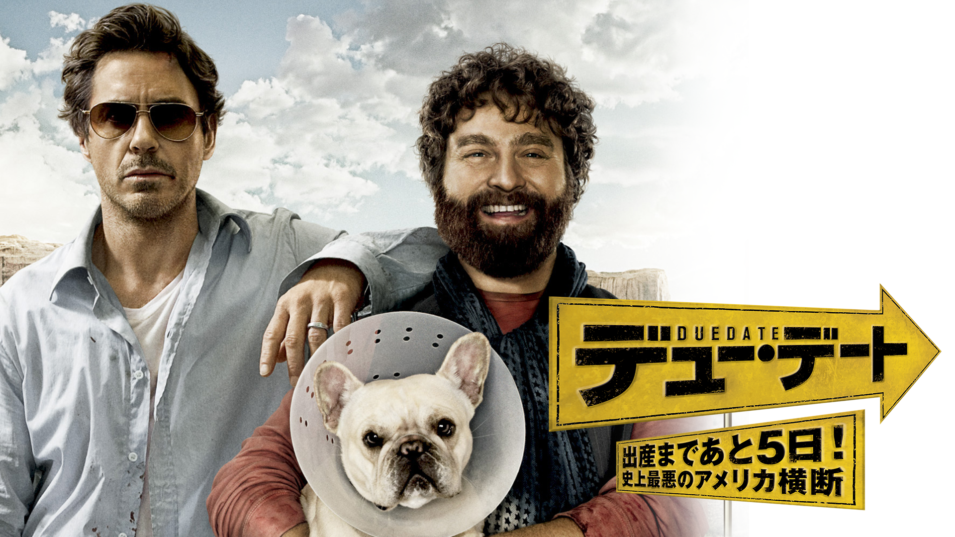 デューデート 〜出産まであと5日！史上最悪のアメリカ横断〜