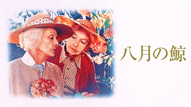 八月の鯨