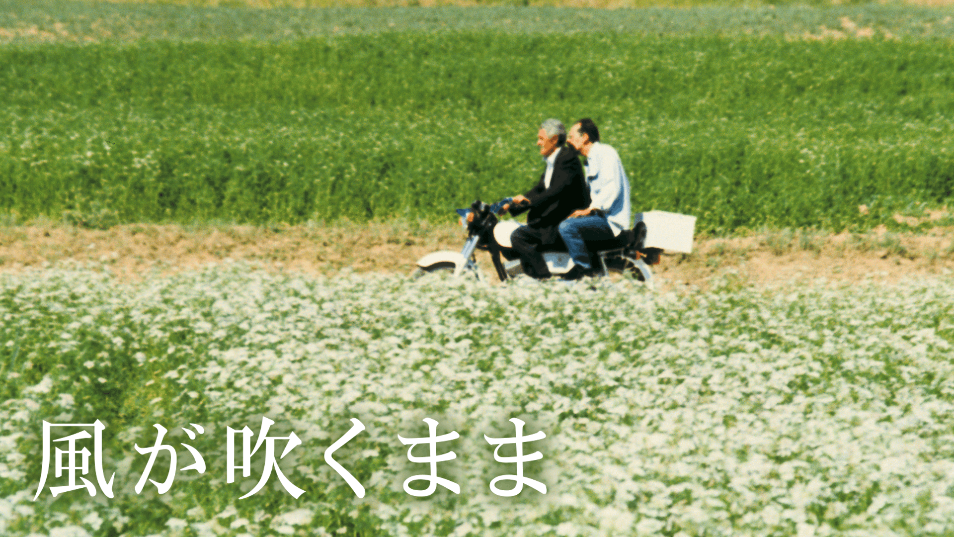 風が吹くまま