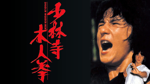 少林寺木人拳