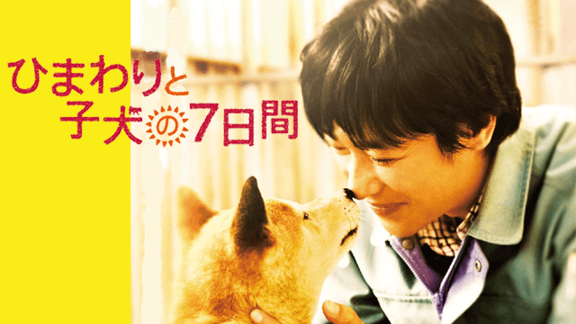 ひまわりと子犬の7日間