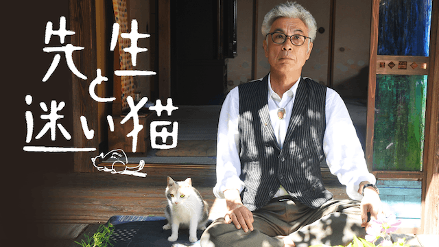先生と迷い猫
