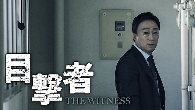 目撃者