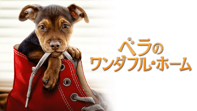 ベラのワンダフル・ホーム