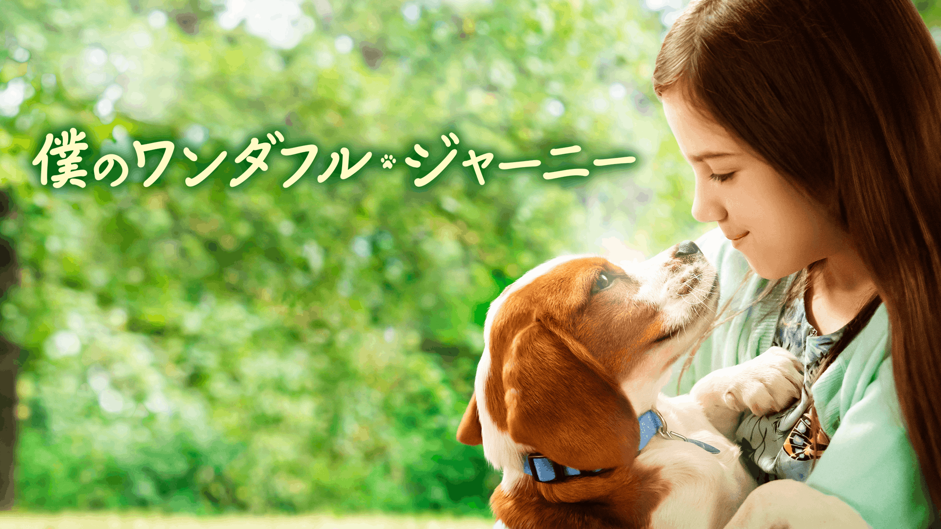 僕のワンダフル・ジャーニー