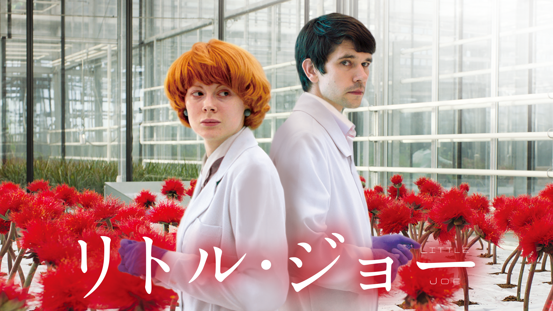 リトル・ジョー