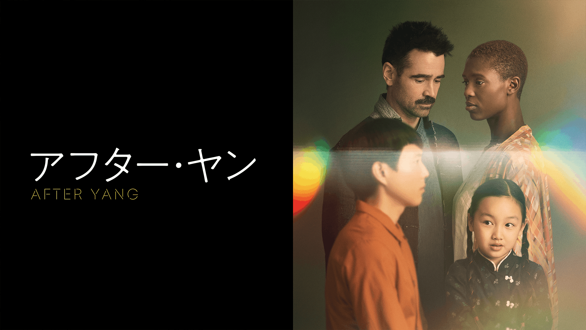 アフター・ヤン
