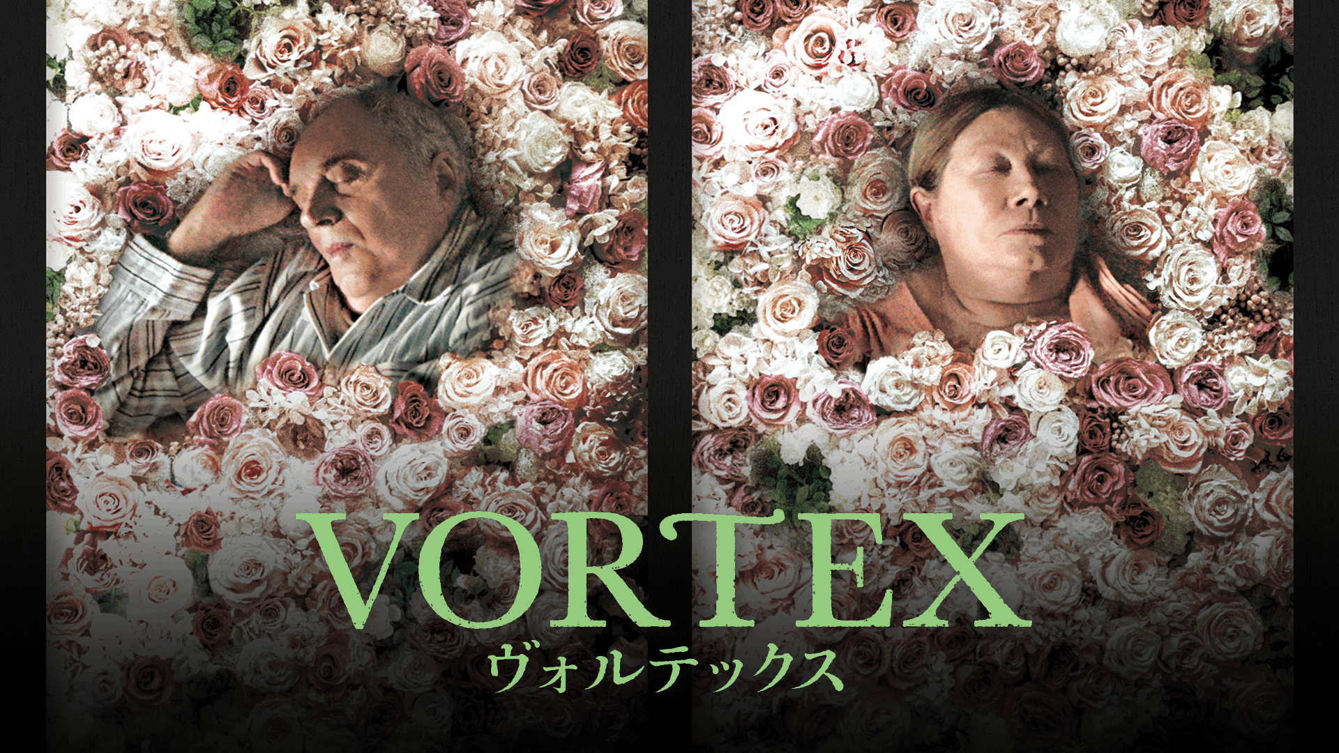 VORTEX ヴォルテックス
