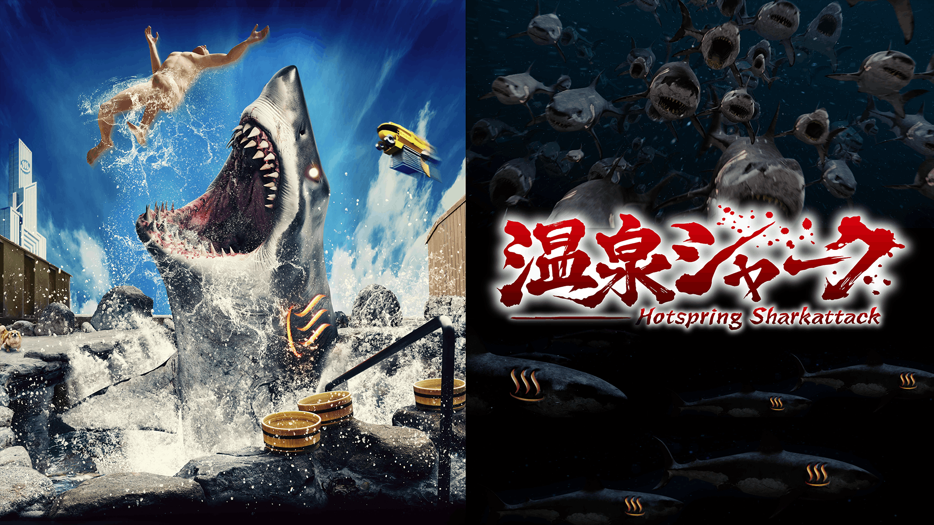 温泉シャーク