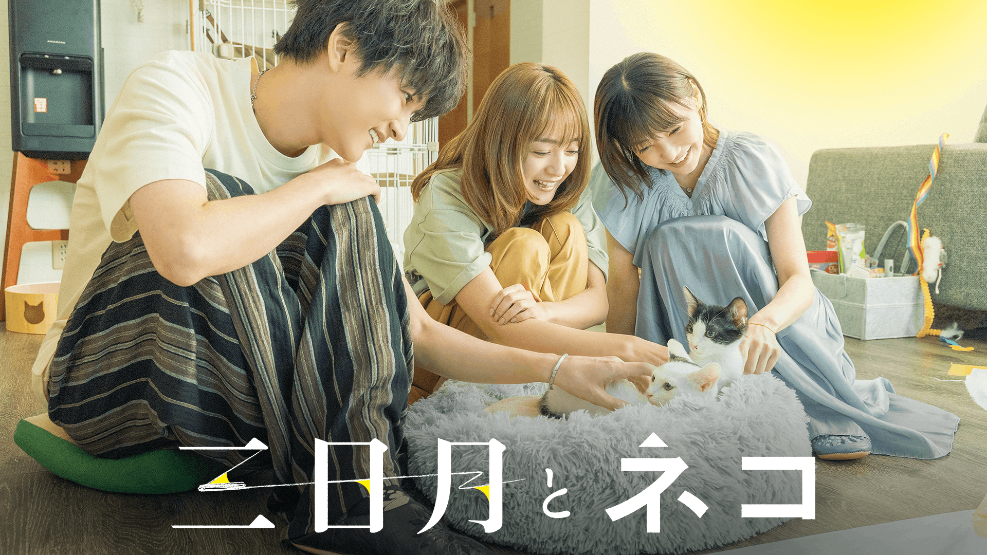 三日月とネコ