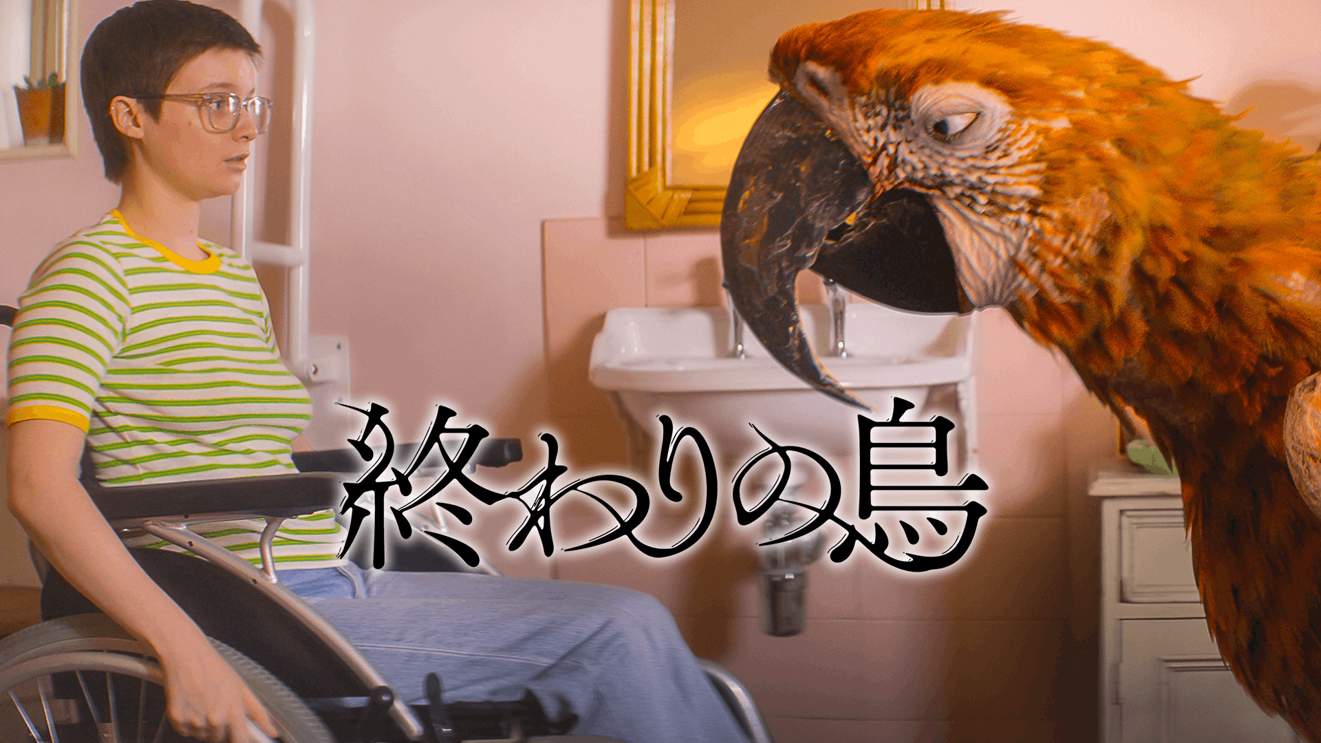 終わりの鳥