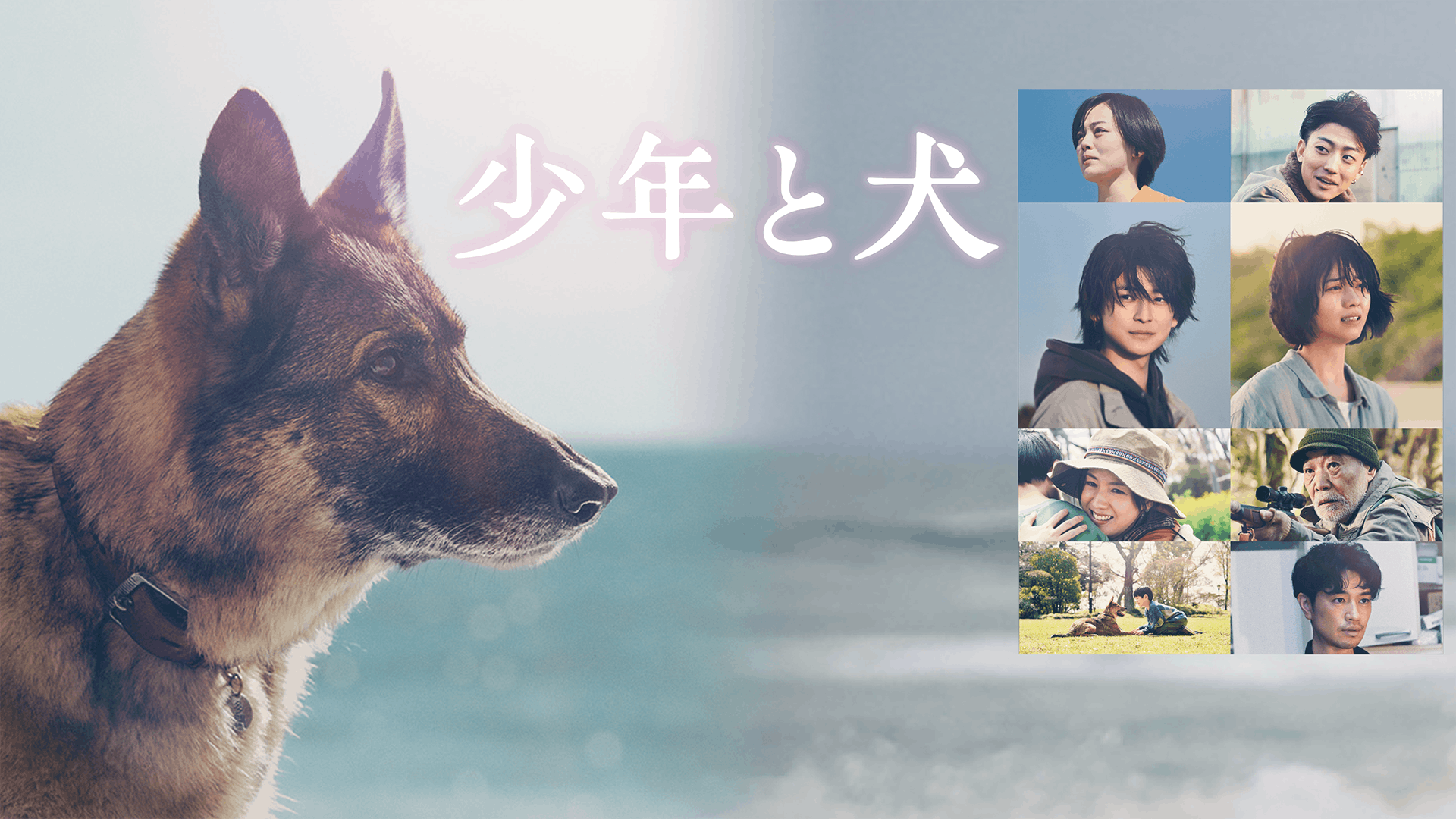 少年と犬