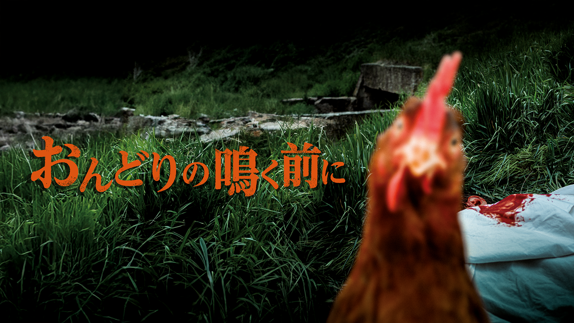 おんどりの鳴く前に