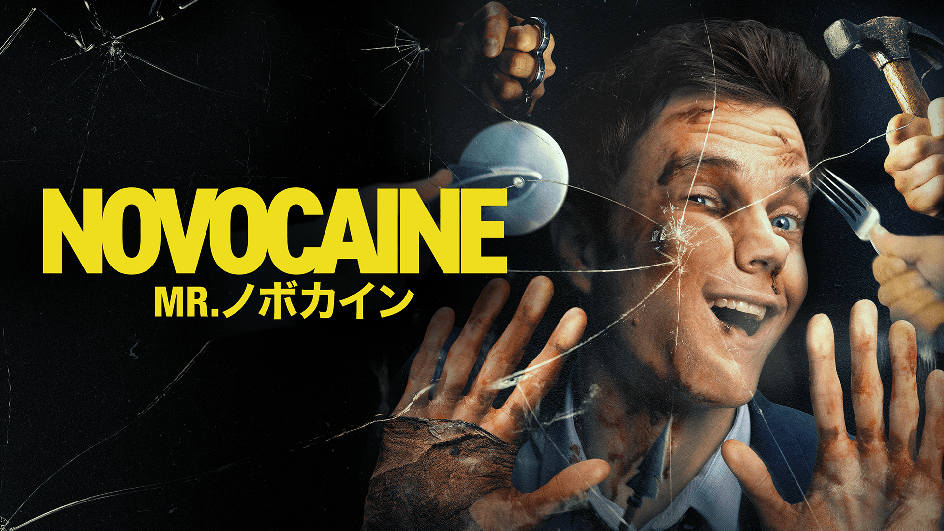 Mr.ノボカイン