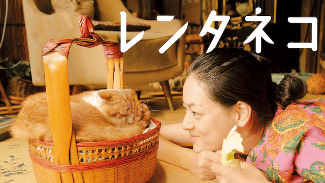レンタネコ