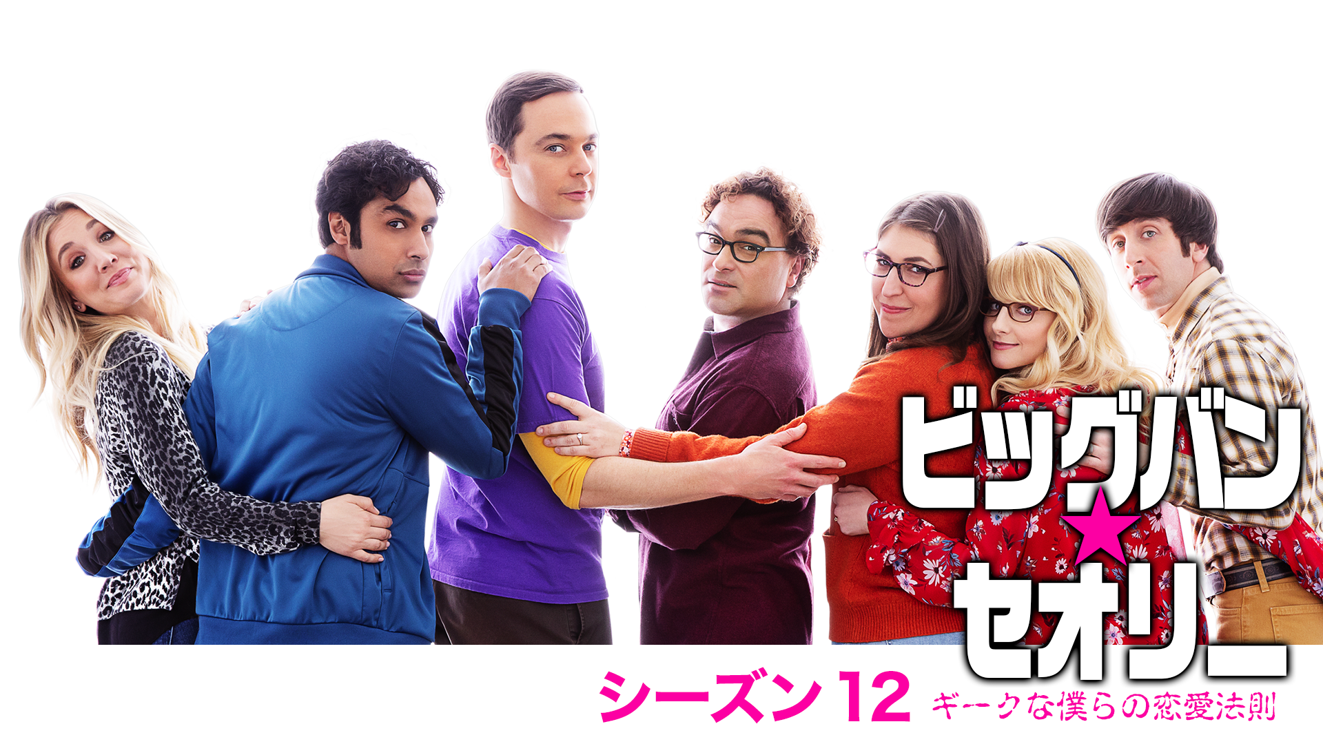 ビッグバン★セオリー ギークなボクらの恋愛法則 ファイナル・シーズン