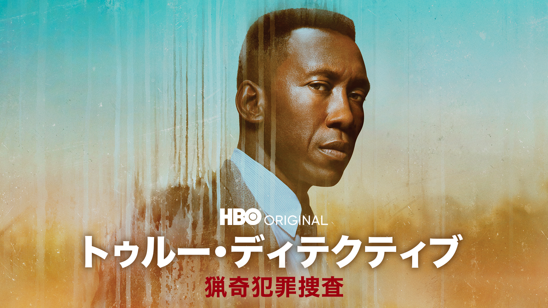 トゥルー・ディテクティブ 猟奇犯罪捜査