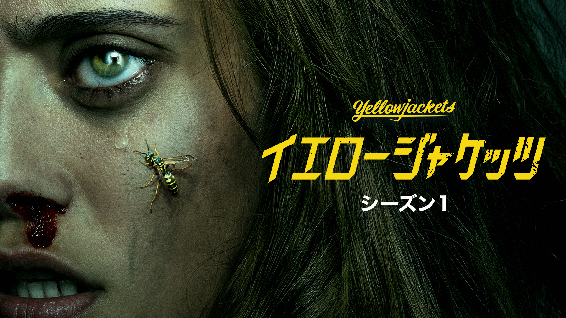 イエロージャケッツ シーズン1