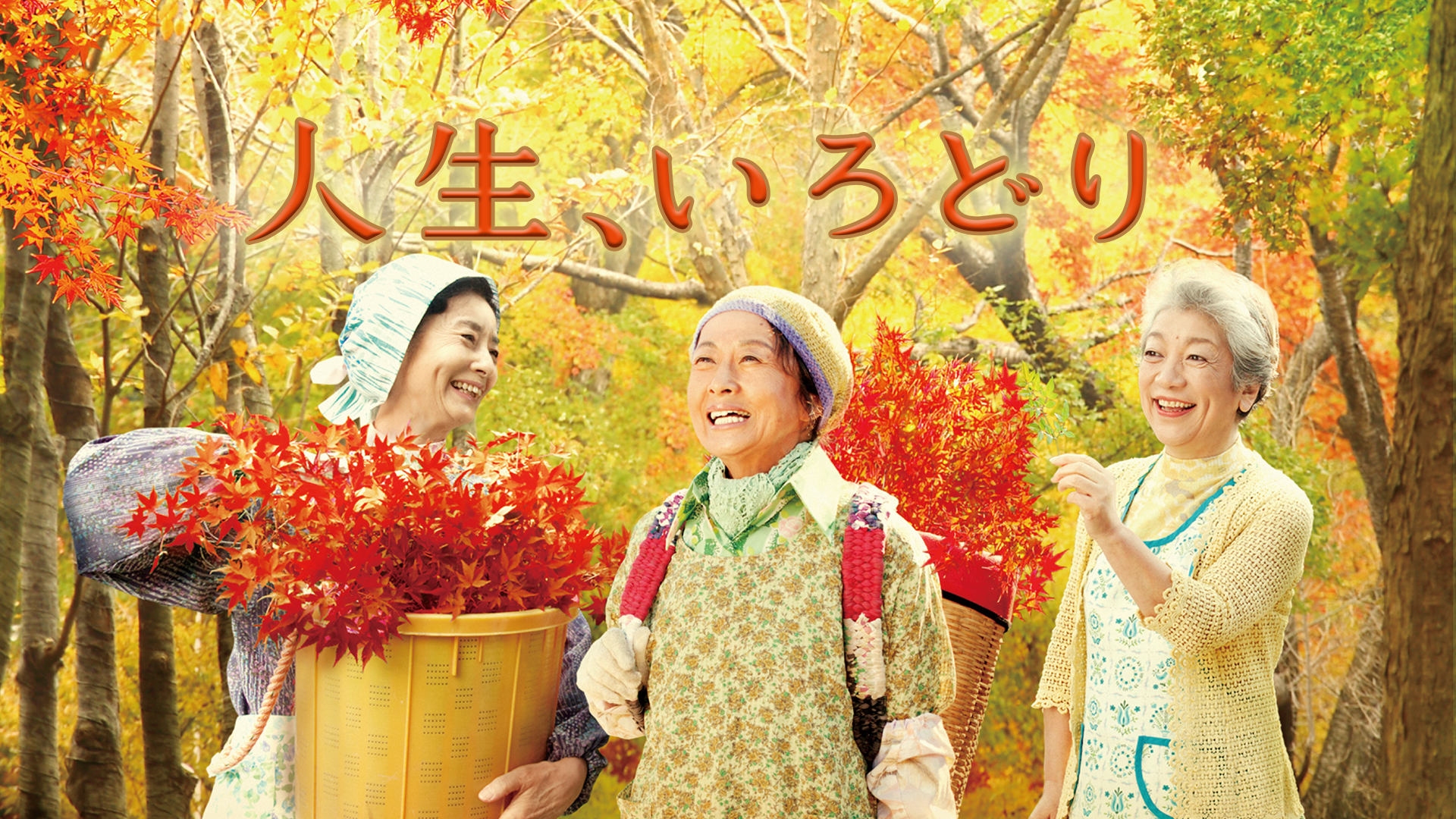 人生、いろどり