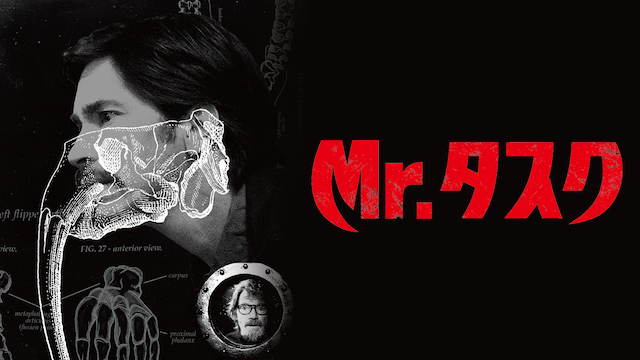 Mr.タスク