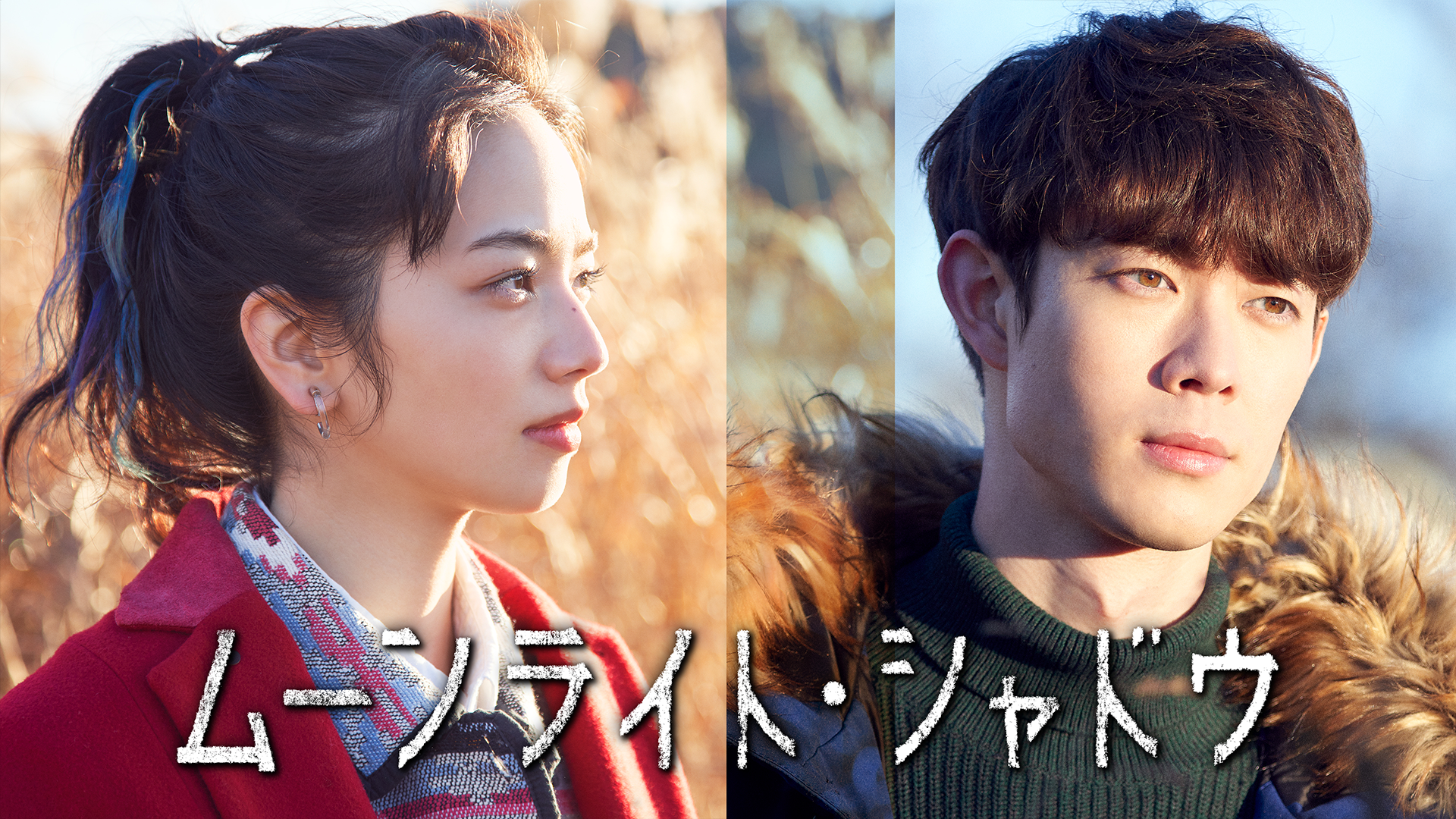 ムーンライト・シャドウ