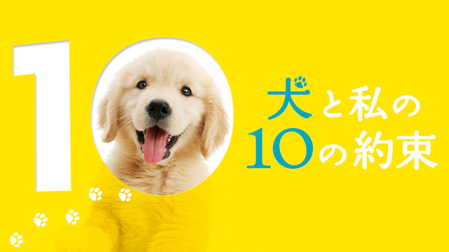 犬と私の10の約束
