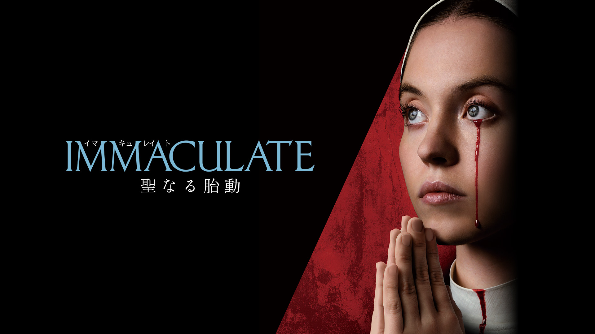 IMMACULATE 聖なる胎動
