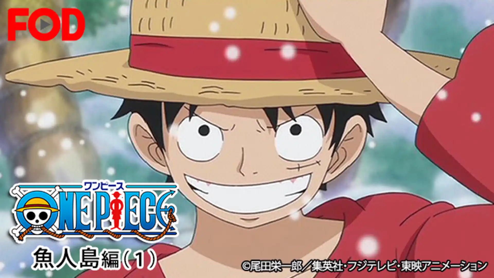 ワンピース 魚人島編