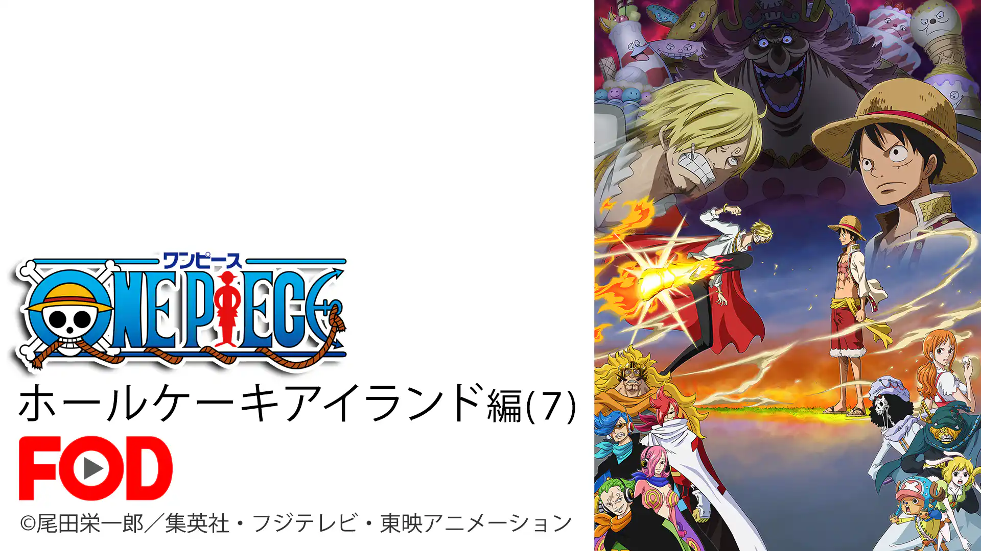 ワンピース ホールケーキアイランド編