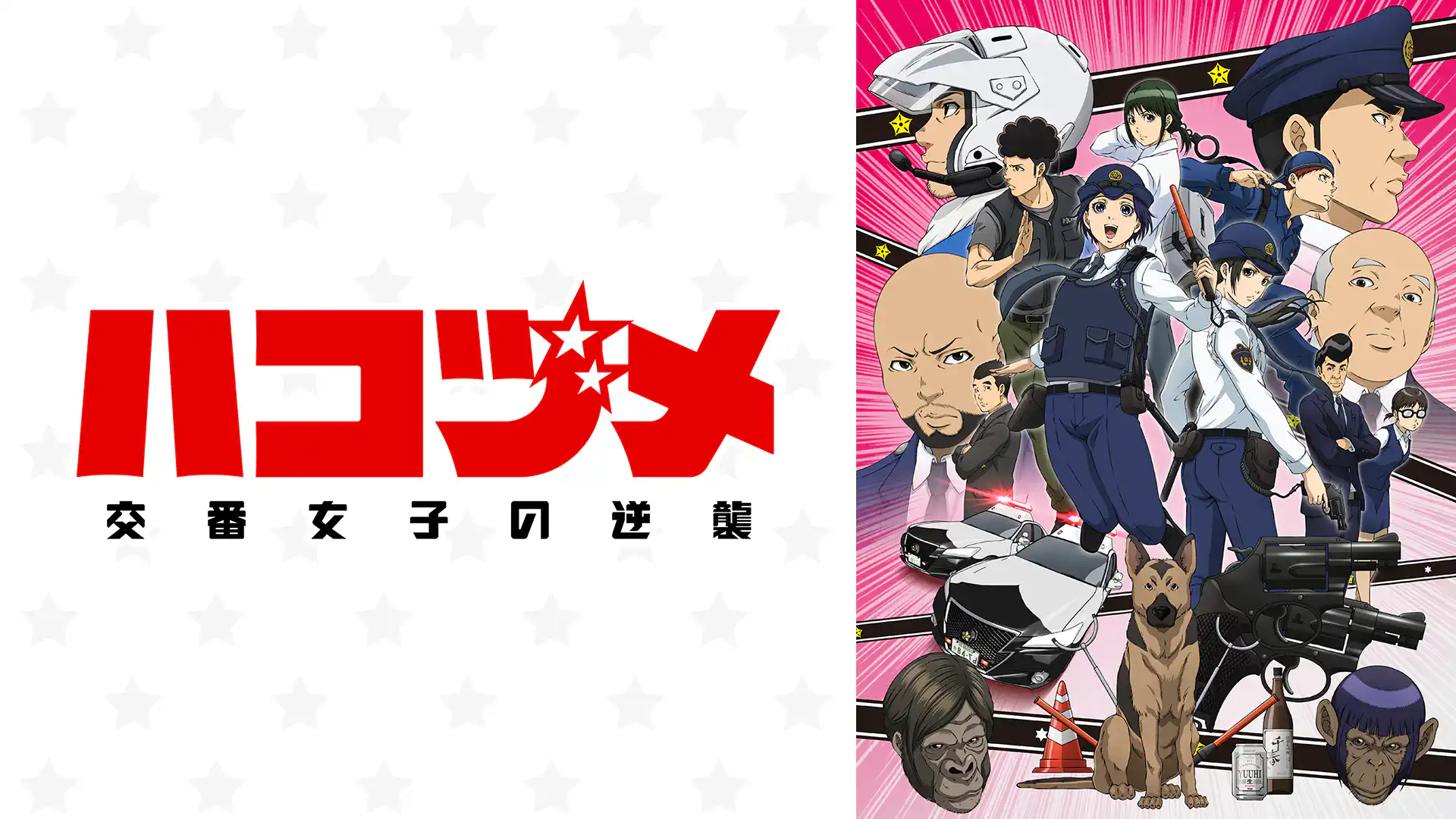 ハコヅメ～交番女子の逆襲～