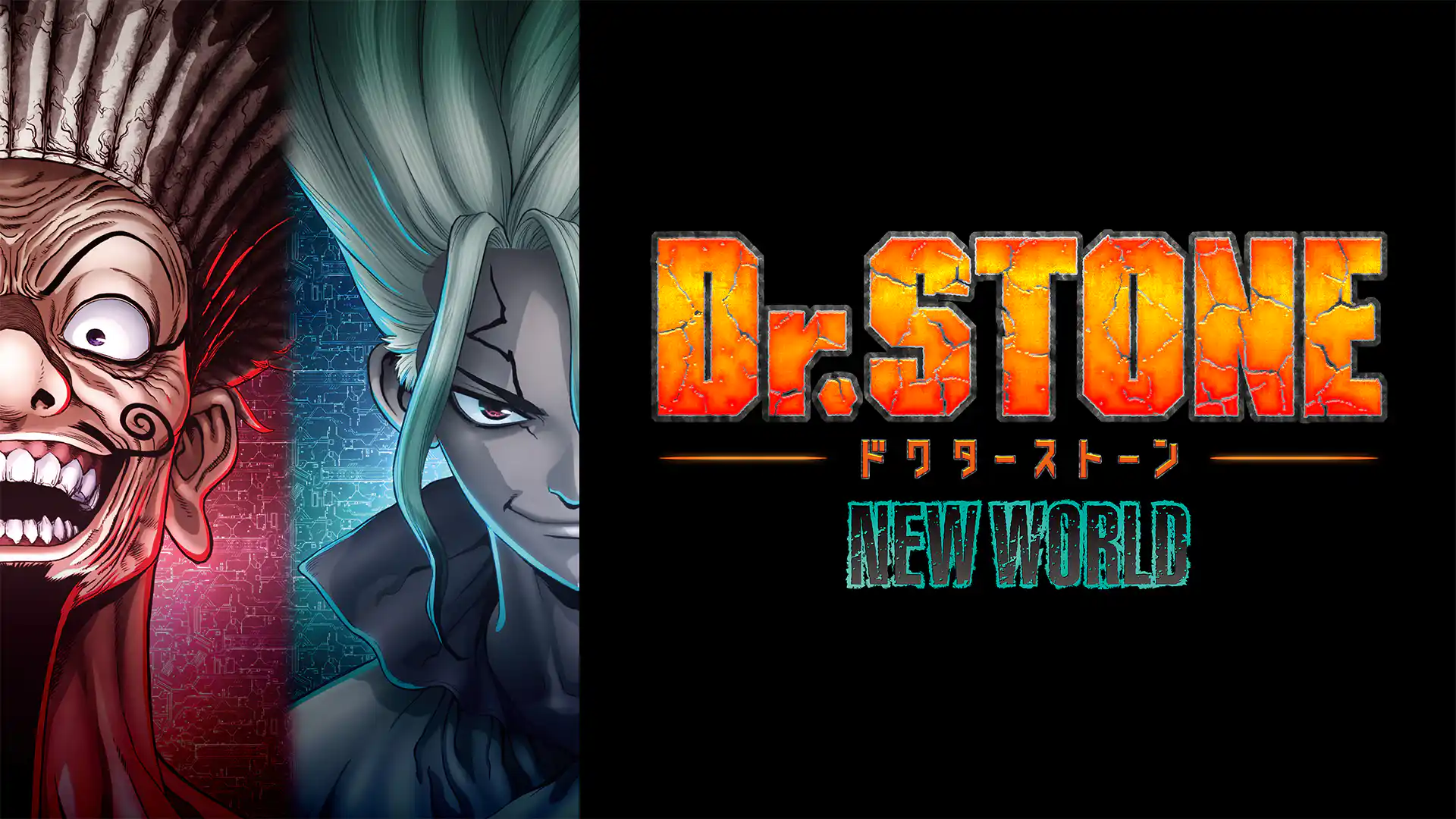 Dr.STONE NEW WORLD 第1クール