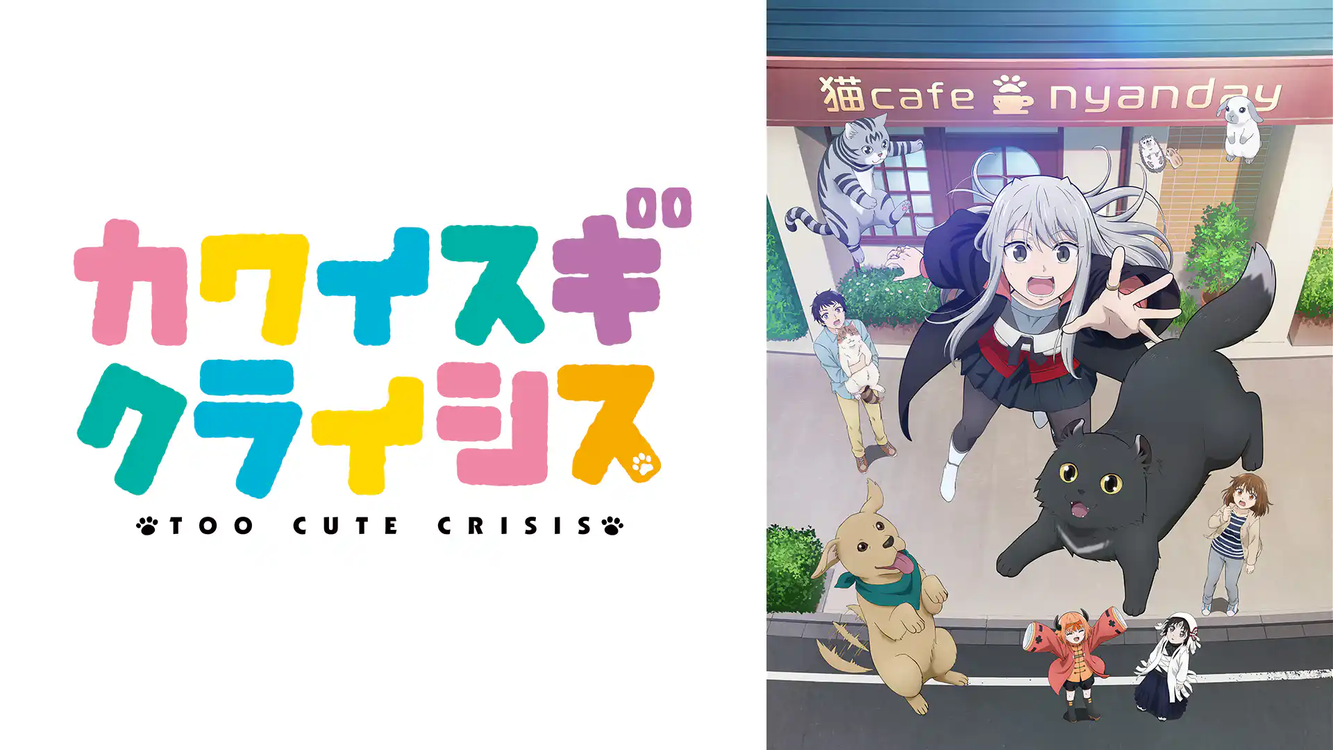 カワイスギクライシス