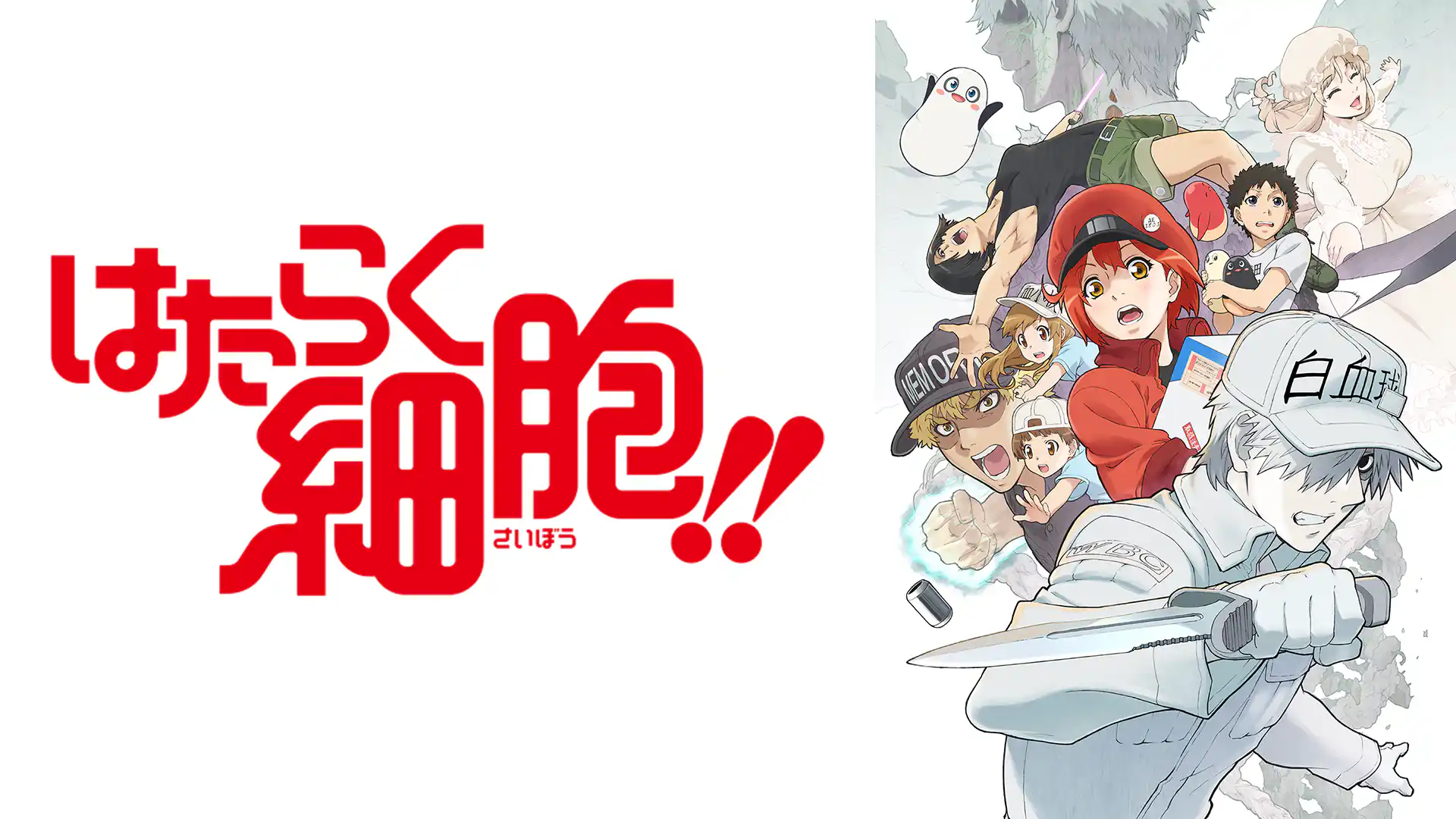 はたらく細胞!!