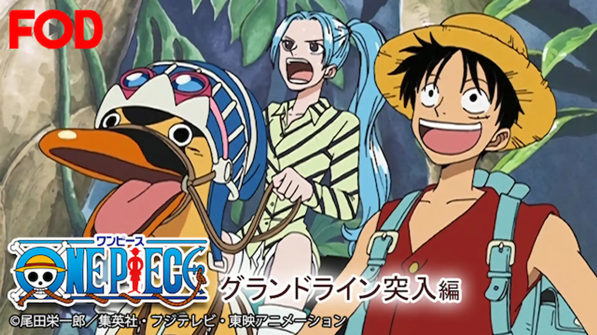ワンピース グランドライン突入編