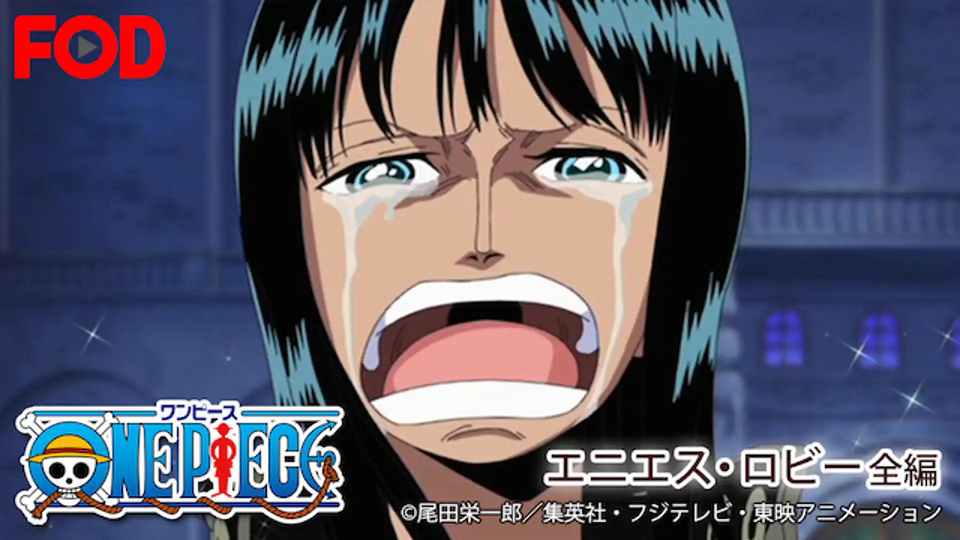 ワンピース エニエス・ロビー編