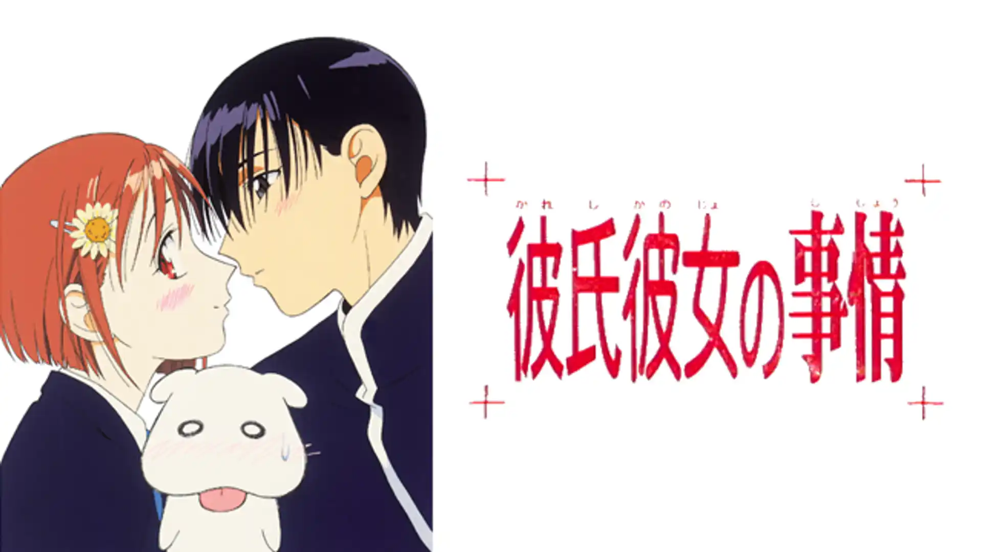 彼氏彼女の事情