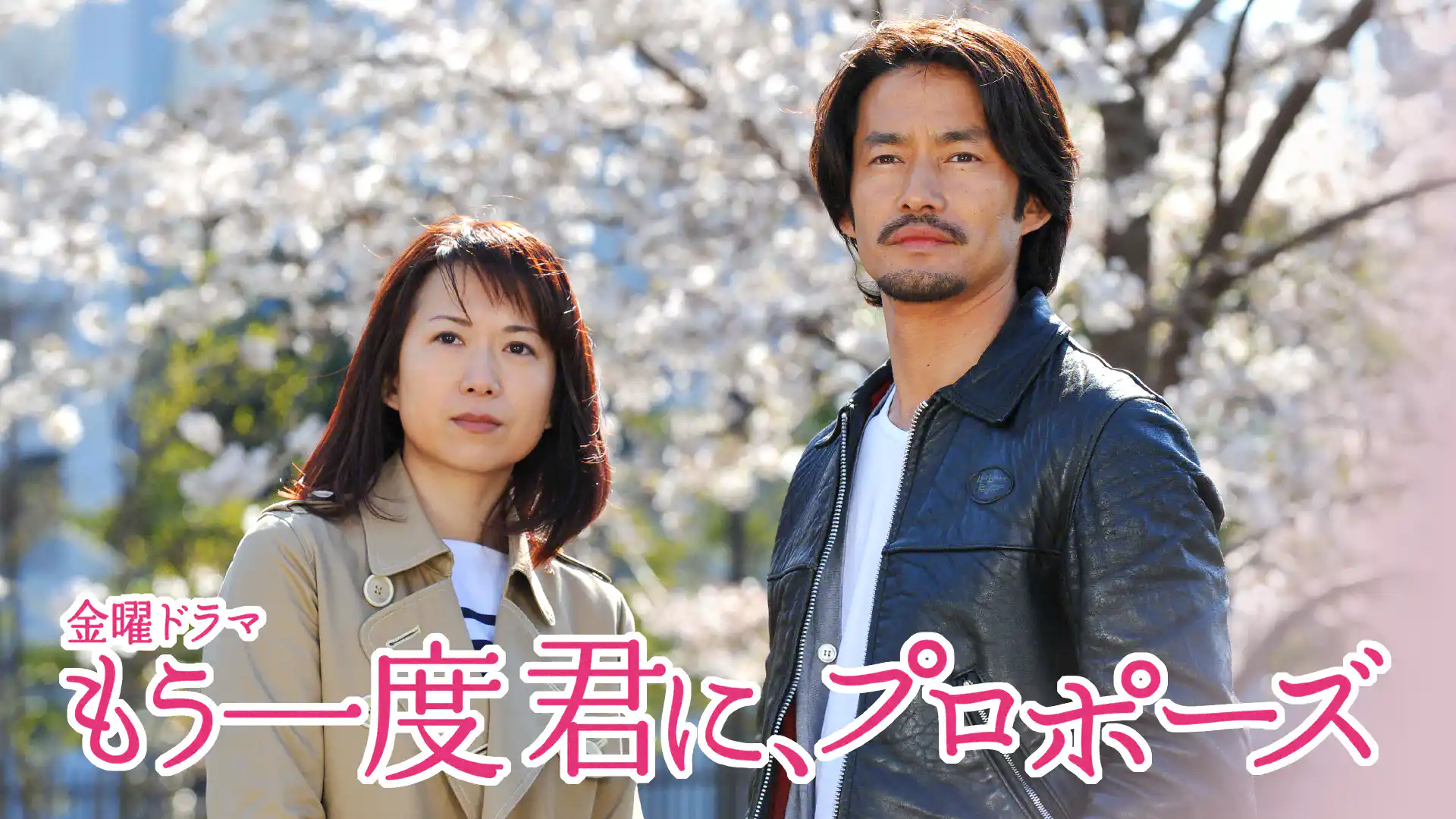 もう一度君に、プロポーズ