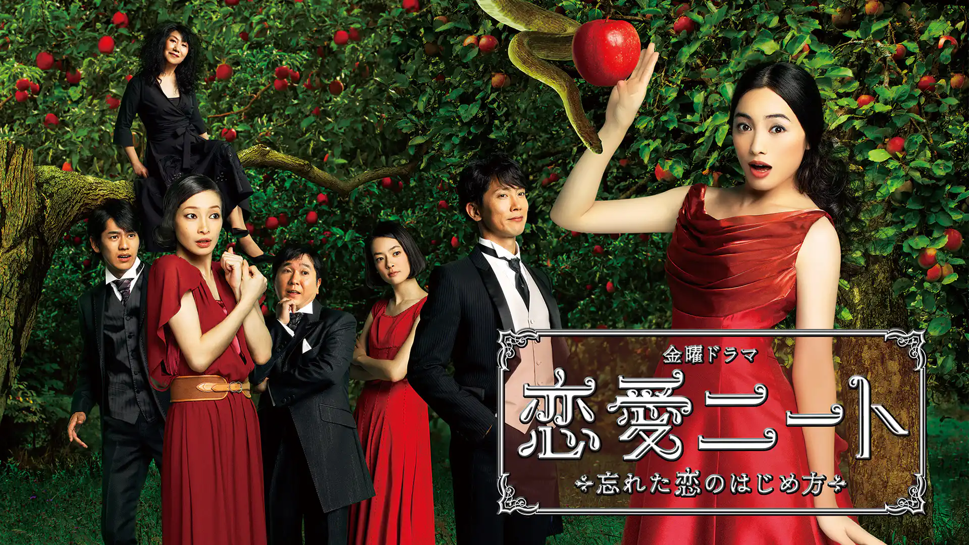 恋愛ニート～忘れた恋のはじめ方