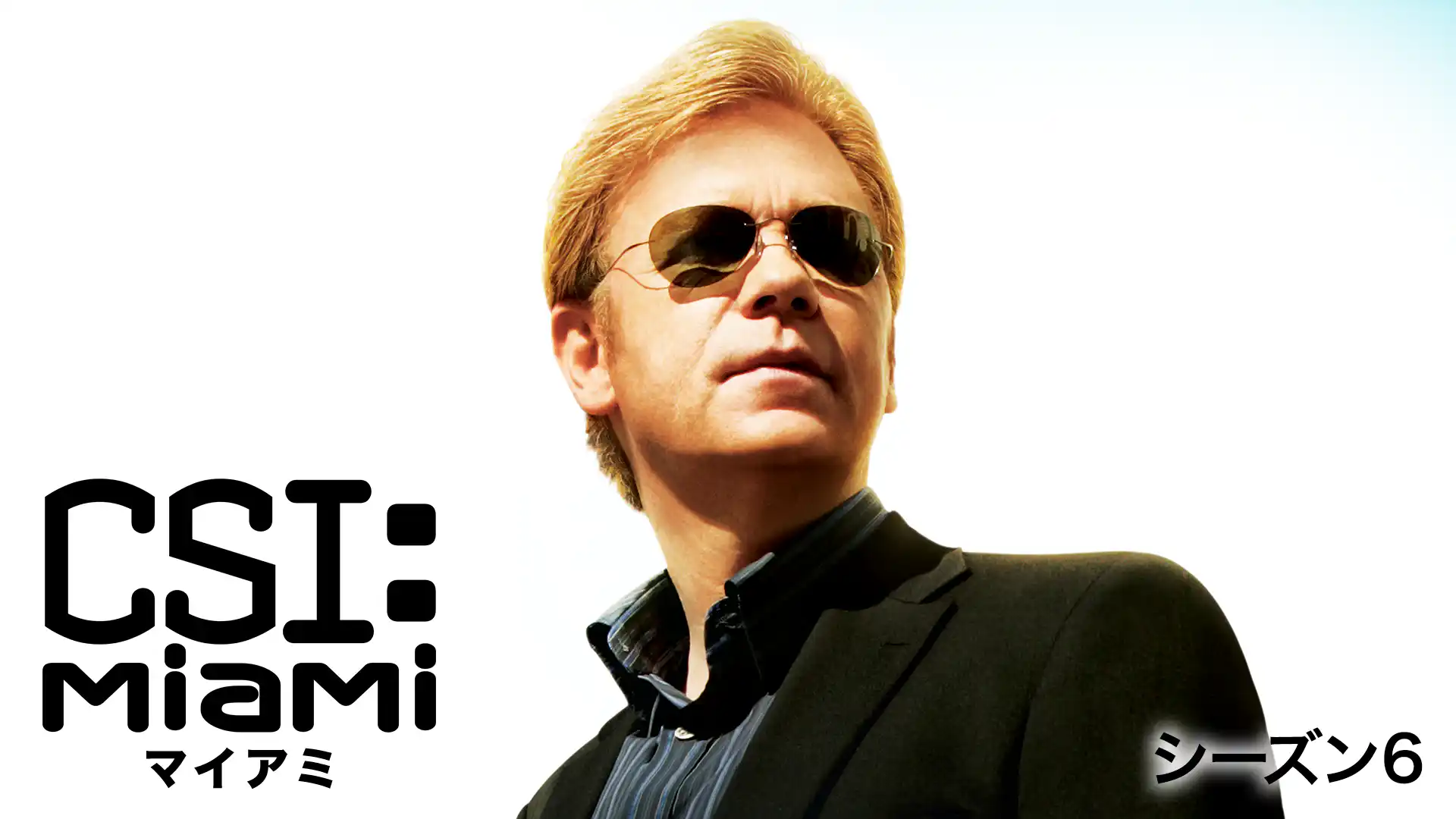 CSI：マイアミ シーズン6