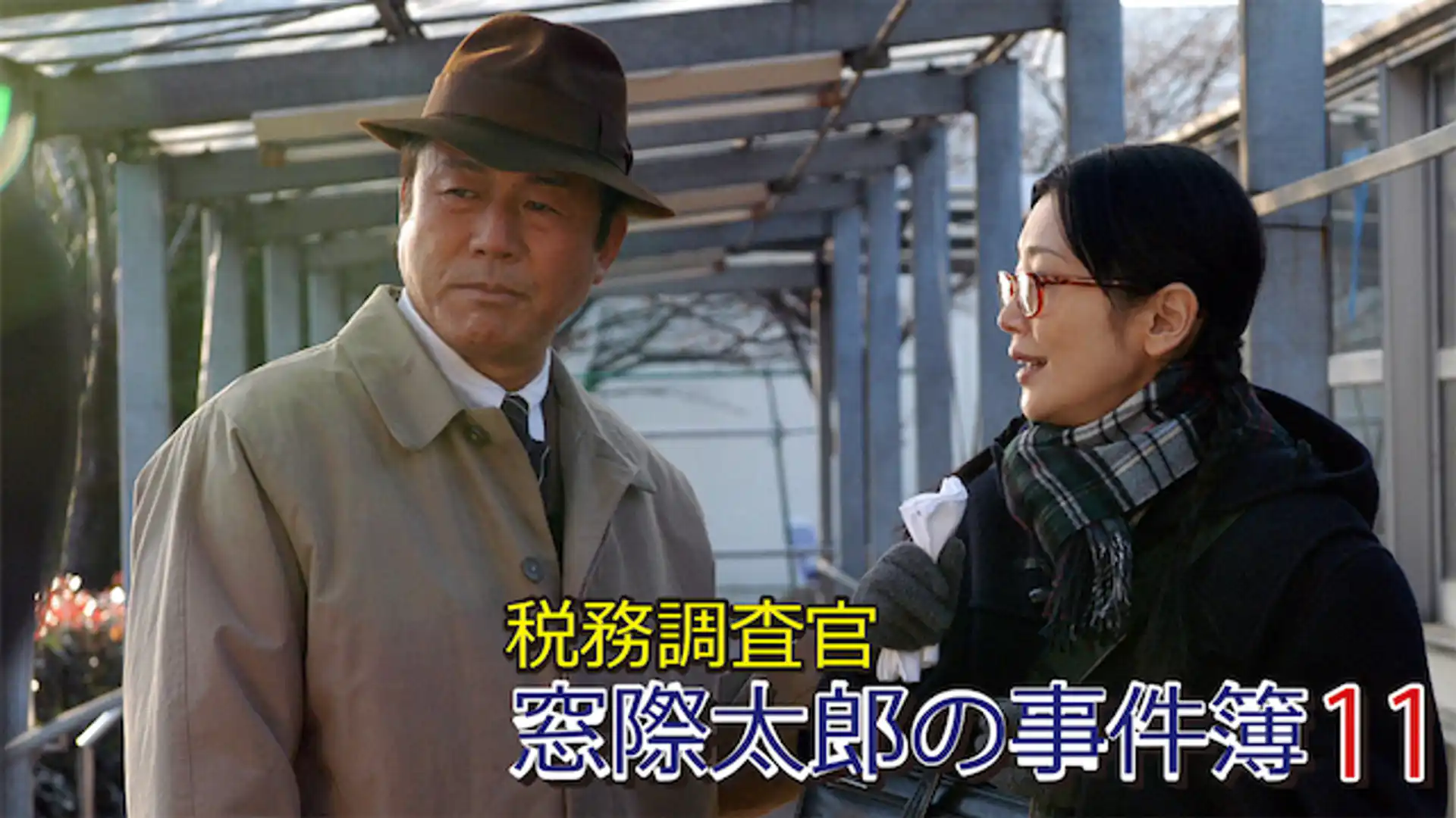 税務調査官・窓際太郎の事件簿11