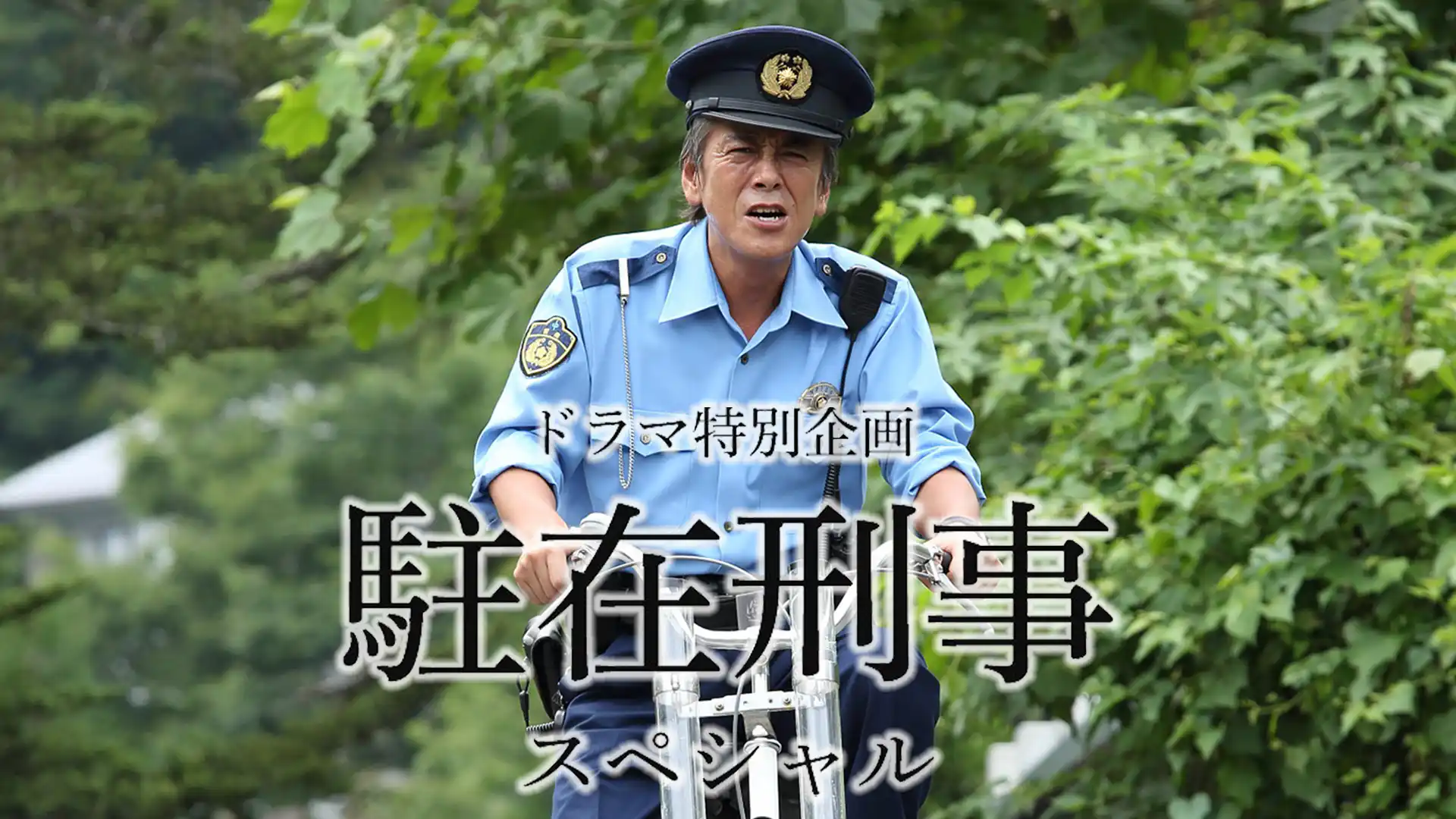 駐在刑事 スペシャル