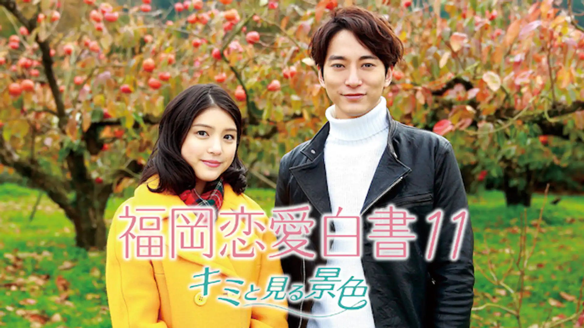 福岡恋愛白書11 〜キミと見る景色〜