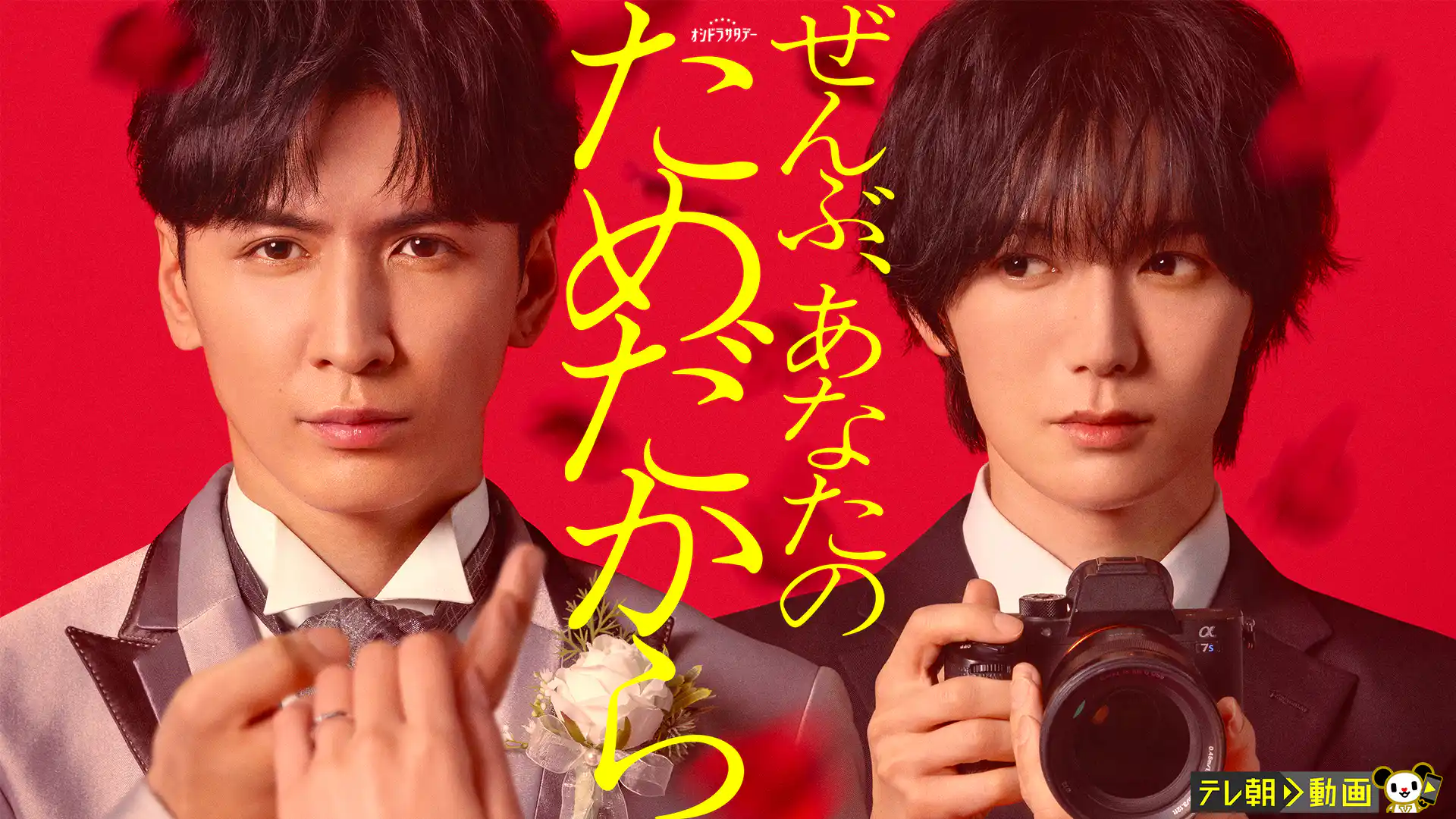 ぜんぶ、あなたのためだから