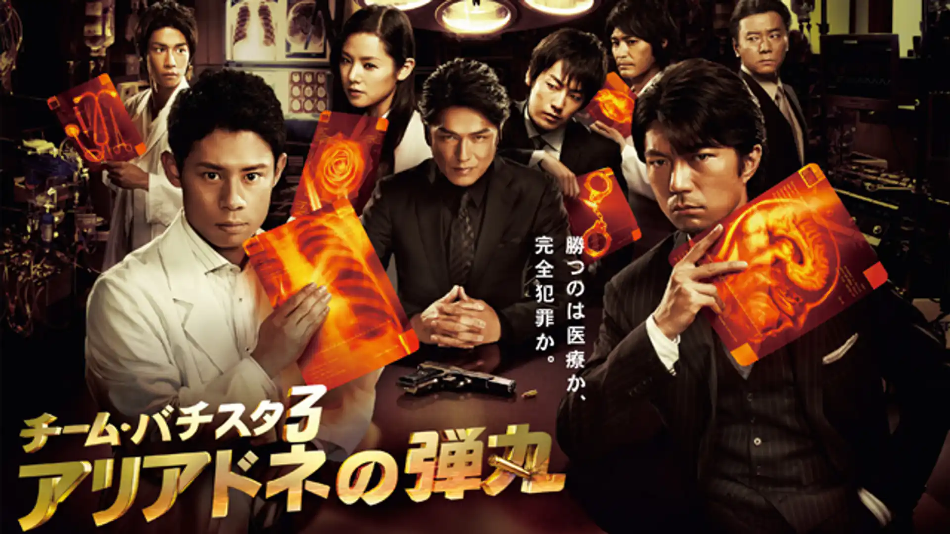 チーム・バチスタ3 アリアドネの弾丸