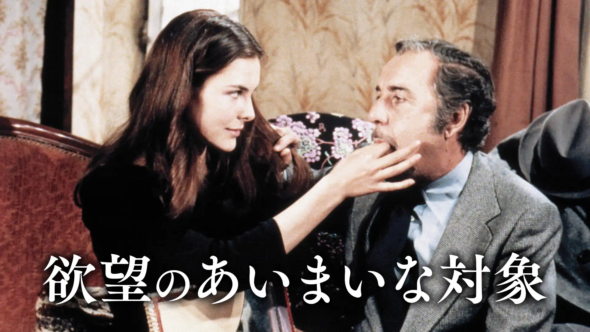 欲望のあいまいな対象