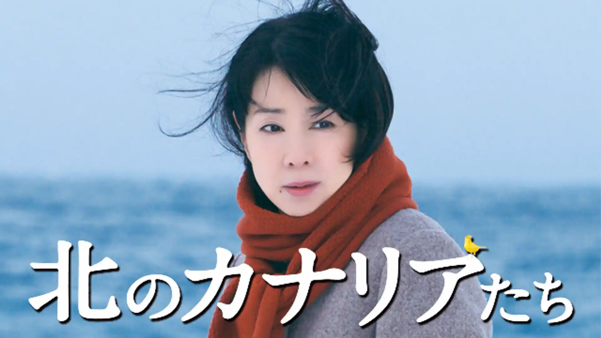 北のカナリアたち