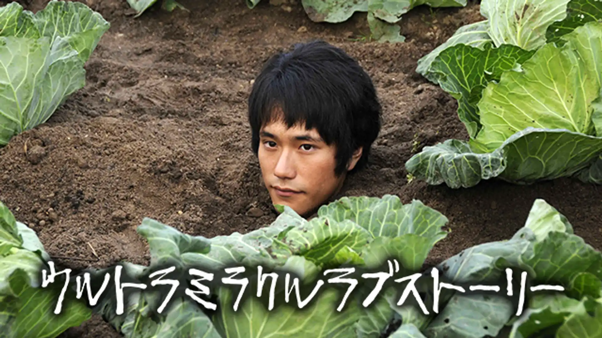 ウルトラミラクルラブストーリー